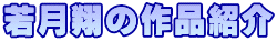 若月翔の作品紹介